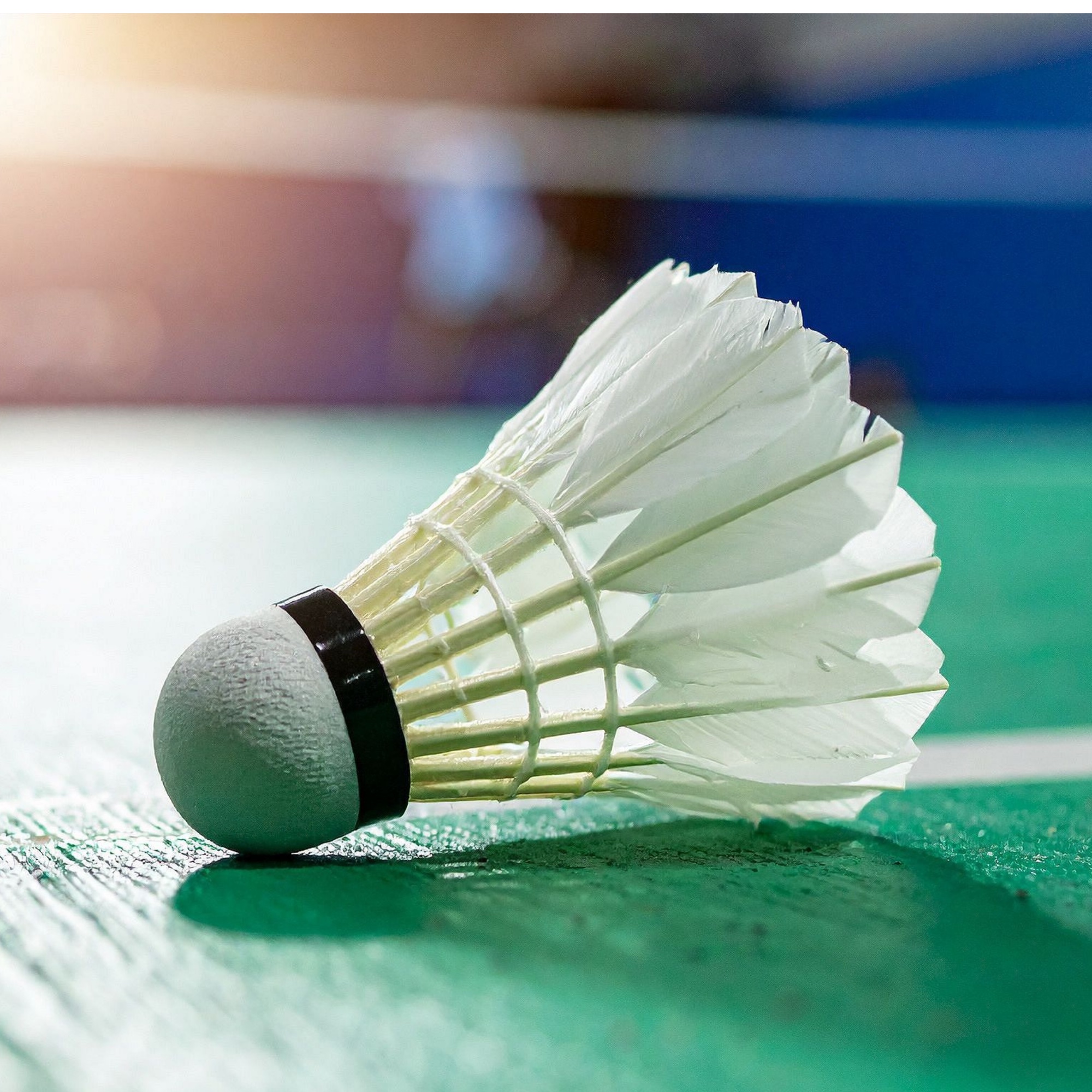 People playing badminton in the church hall